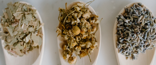 The herbal ingredients to our first time couple sex pills